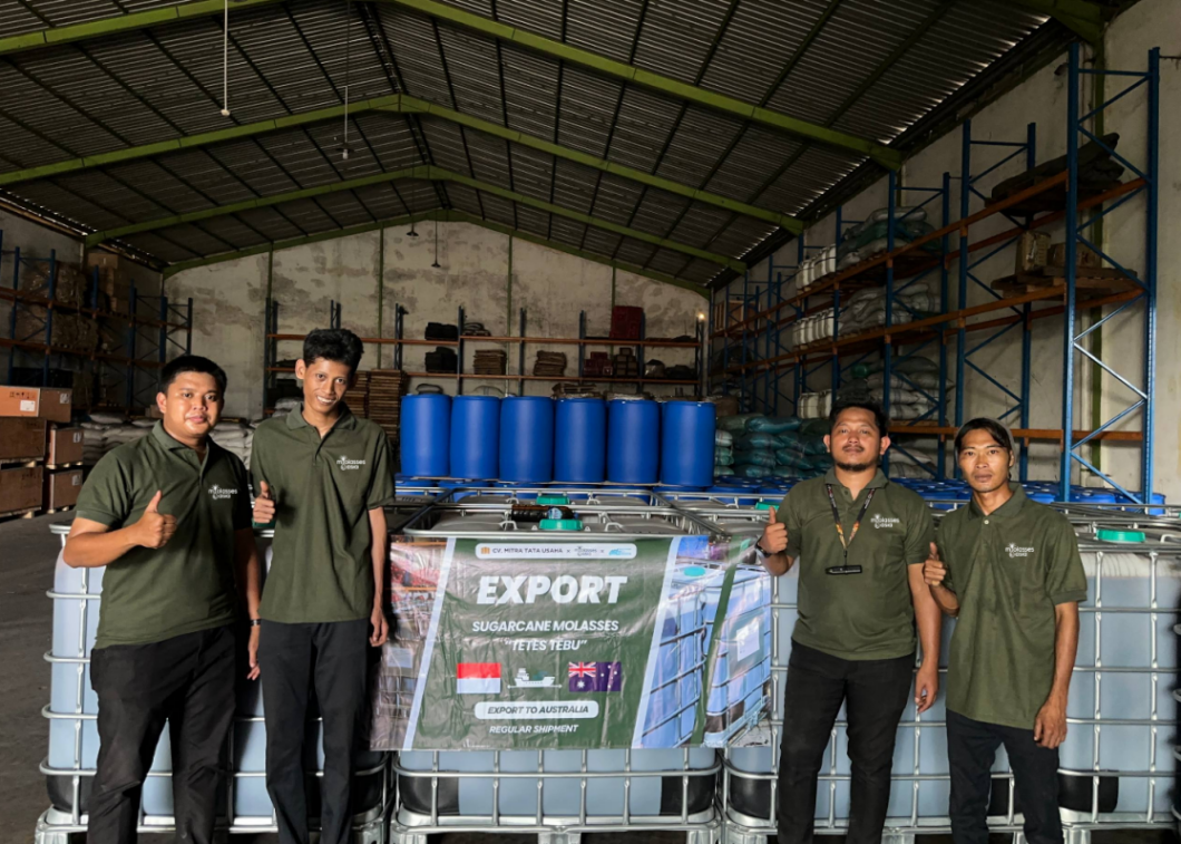 THE TEAM - MOLASSES ASIA